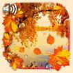 Autumn River lwp
