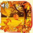 Autumn Sounds APK