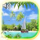 Beaches Islands Live Wallpaper APK