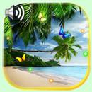 Beach Palm Tree APK