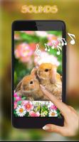 Bunnies الملصق