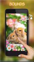 Bunnies Affiche