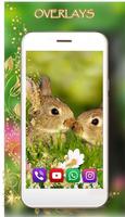 Bunnies تصوير الشاشة 1