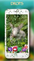 Bunnies تصوير الشاشة 2