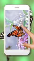 Butterflies Photo screenshot 2