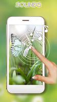 Butterfly Spring पोस्टर