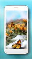 Butterfly Spring स्क्रीनशॉट 1