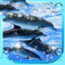 Dolphin Voice APK