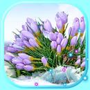 Early Spring Live Wallpapers APK