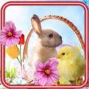Easter Sunday APK