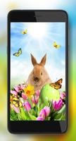 Easter Sunny Spring screenshot 1