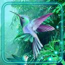 Fantasy Colibry APK