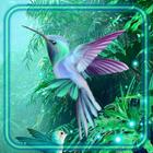 Fantasy Colibry Zeichen
