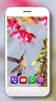 Fantasy Colibry Plakat