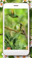 Fantasy Colibry Screenshot 1