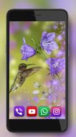 Fantasy Colibry Screenshot 2