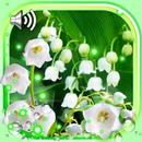 Forest Lilies LWP APK