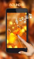Цветы Осень HD Живые Обои постер