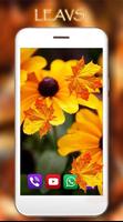 Цветы Осень HD Живые Обои скриншот 3