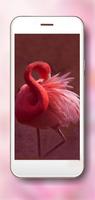 Flamingo Bright スクリーンショット 3
