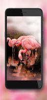 Flamingo Bright ポスター