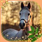 Horses Collection 图标