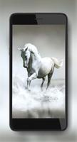 Horses Collection 截图 1
