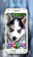 Husky Puppies تصوير الشاشة 1