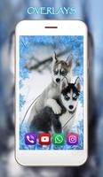 Husky Puppies تصوير الشاشة 2