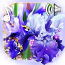 Iris Live Wallpaper APK