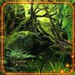 Jungles World
