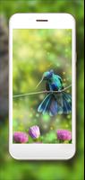 Jungles World 截图 2