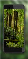Jungles World 截图 3