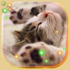 Kitty Songs ไอคอน