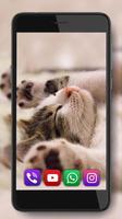 Kitty Songs ภาพหน้าจอ 3
