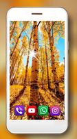 Landscapes Autumn poster
