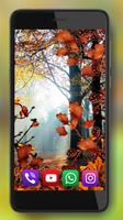 Landscapes Autumn screenshot 1