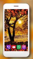 Landscapes Autumn screenshot 3