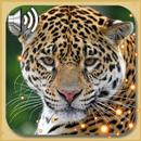 Leopard Live Wallpaper APK
