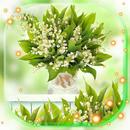 Lily of Valley Spring Bouquet APK