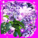 Lilac Tender LWP APK