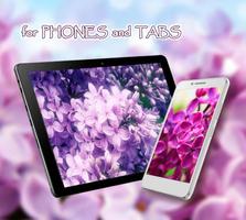 Lilac Tender LWP poster