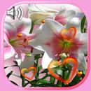Lilies Love Live Wallpaper APK
