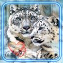 Love Snow Bars APK