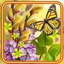 Magic Springs Mood APK