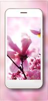 Magnolia Bloom HD 스크린샷 1