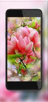 Magnolia Bloom HD 스크린샷 2