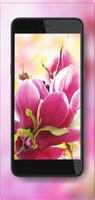 Magnolia Bloom HD 스크린샷 3