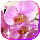 Orchid Music live wallpaper APK