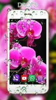 Orchids LWP screenshot 2